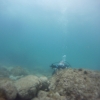 Combat Diver Course May 2015_039